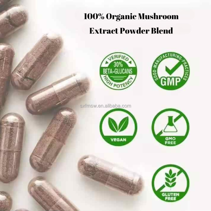 Lion's Mane Capsules Factory - OEM/ODM Organic Extract Memory Concentration