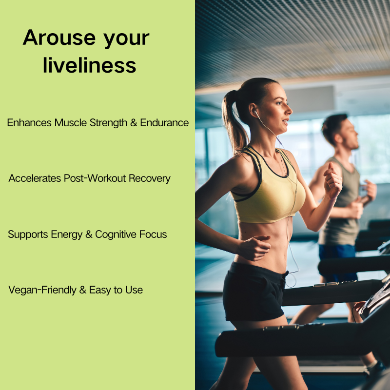 Creatine Monohydrate Powder Factory - OEM Private Label Pure Pre-Workout