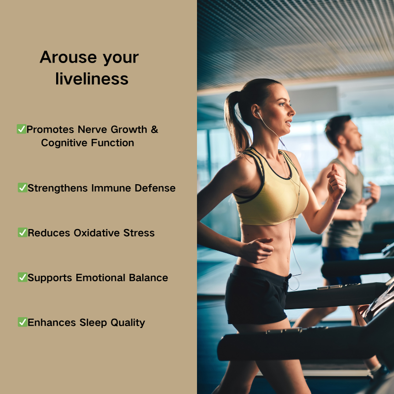 Lion's Mane Powder Factory - OEM/ODM Organic Extract Cognitive Support