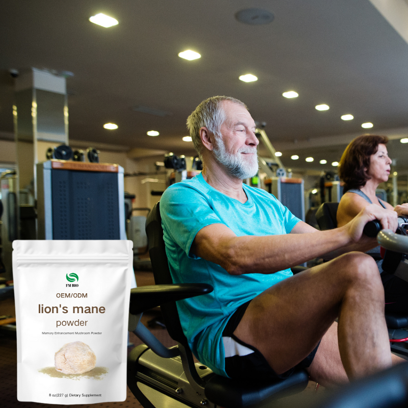 Lion's Mane Powder Factory - OEM/ODM Organic Extract Cognitive Support