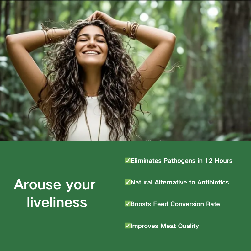 Oregano Liquid Drops Manufacturer - OEM/ODM Organic Vegan Herbal Supplement