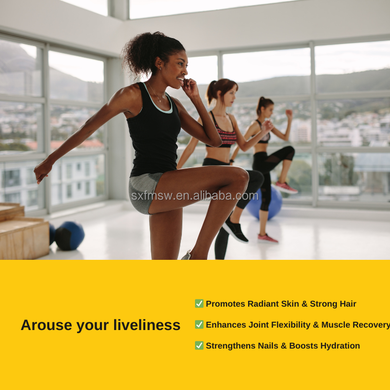 Collagen Gummies Factory - OEM/ODM Sugar Free Berry Halal Private Label