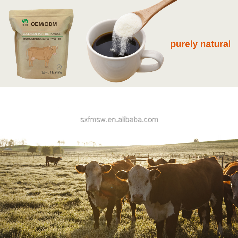 Bovine Collagen Peptide Powder Manufacturer - Premium Grass Fed Type 1 3