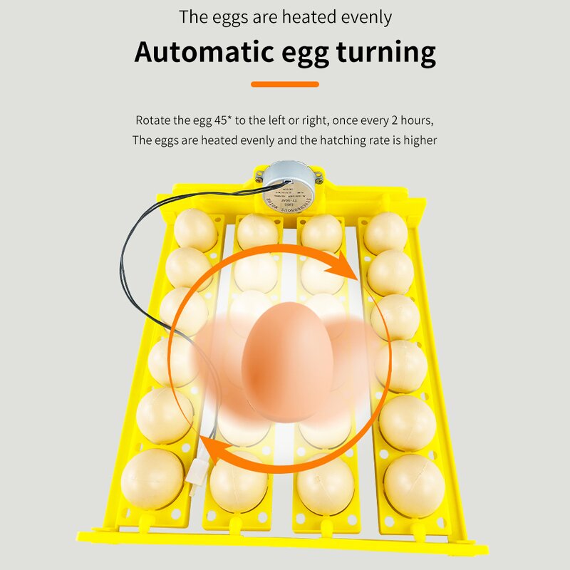 Chicken Egg Incubator Manufacturer - Hot Selling 24 Flower Basket Egg Plate 220V with Turner Motor Fully Automatic for Home Use