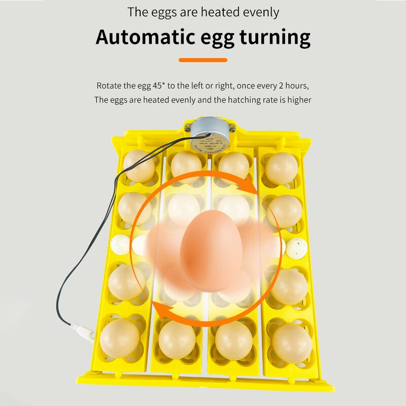 Egg Incubators Manufacturer - Wholesale 16 Chicken Tray Quail Bird Goose Pigeon Duck Parrot Farm Poultry with Motor Automatic