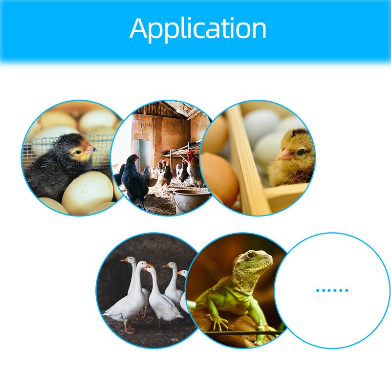 Egg Hatching Machine Manufacturer - XM-18 Digital Automatic Farm Poultry Ostrich Eggs Accessories Tools Tray Incubator Thermostat