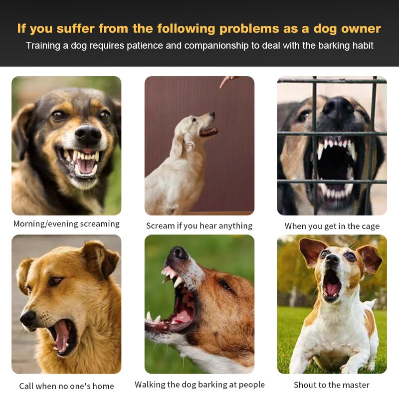 Electric Fence System Manufacturer - Wholesale New Arrivals Smart Wireless LCD Display Remote Control for Training