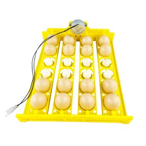 Chicken Egg Incubator Manufacturer - Hot Selling 24 Flower Basket Egg Plate 220V with Turner Motor Fully Automatic for Home Use