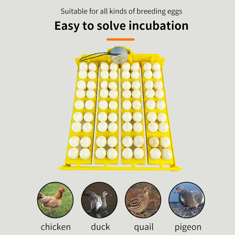 Egg Incubators Manufacturer - Wholesale 16 Chicken Tray Quail Bird Goose Pigeon Duck Parrot Farm Poultry with Motor Automatic