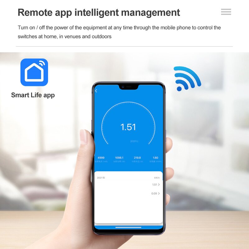 Smart Power Meter Manufacturer - Tuya Smart Life APP Control WiFi Relay Digital Electric Energy Timer Remote Control