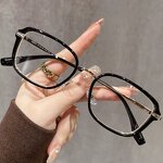 PRESBYOPIC GLASSES