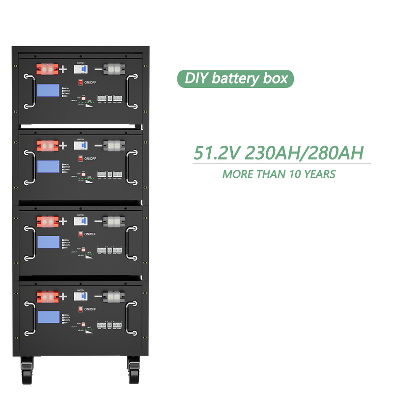 Lithium Battery Box Manufacturer - Custom DIY 48V 100Ah Prismatic with BMS LCD Racks & Case