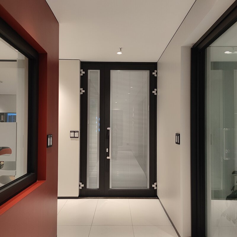Aluminum Alloy Swing Double Door - with Tempered Glass for Villa and Hotel