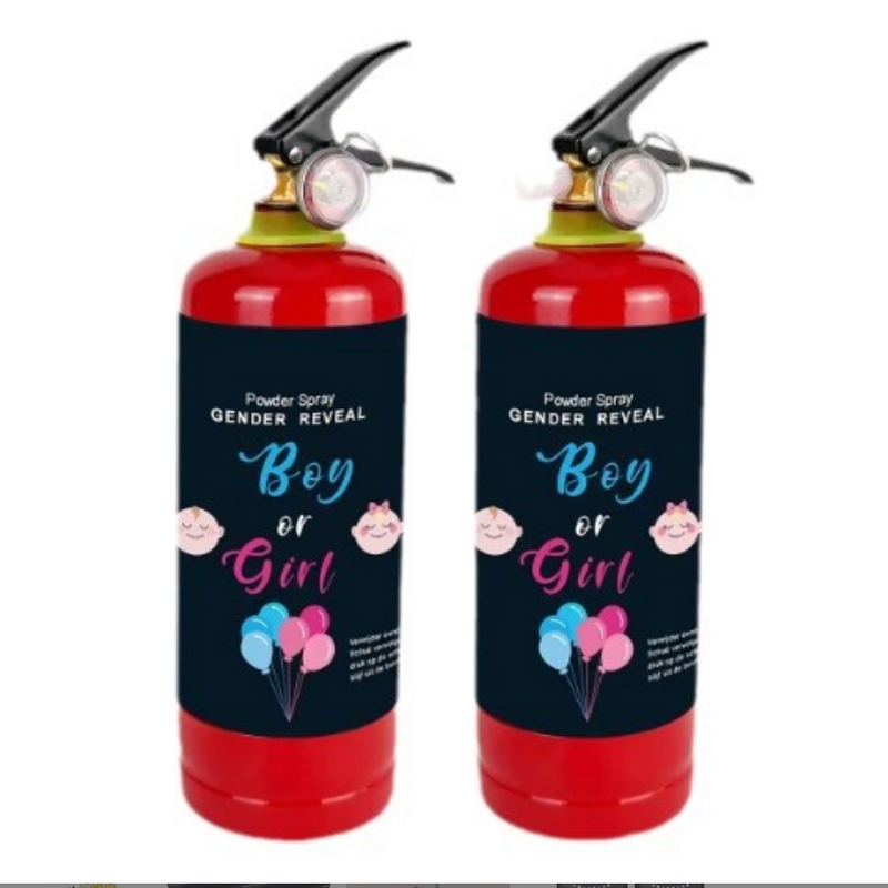 Portable CO2 Fire Extinguisher - Single for Wedding Festival Celebrate