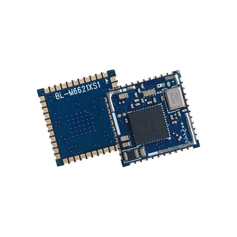 WiFi Module Manufacturer - BL-M6621XS1 with ESD Protection for Repeater/TP-Link Router/WiFi 6 IoT Devices 2.4GHz 5G 30M SDIO/USB2.0