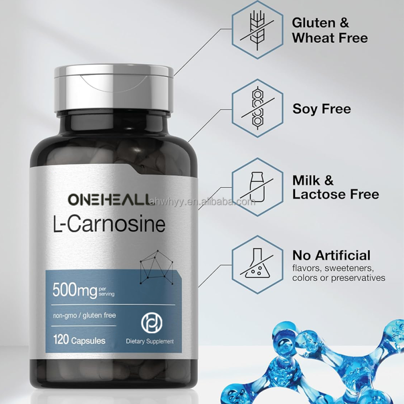 High Quality Health Support L-Carnosine Capsule OEM Sports Nutrition L-carnitine Increased Energy Capsule