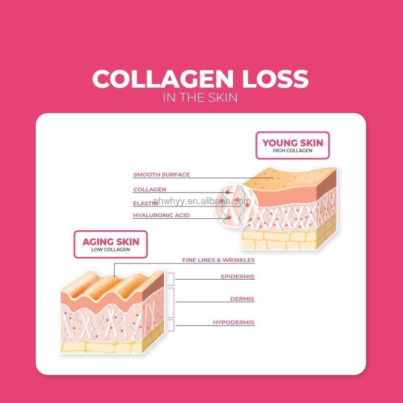 100% Marine Pure Tripeptide Hydrolyzed Collagen Natural Powder Skin Whitening Multi Drink Collagen Powder