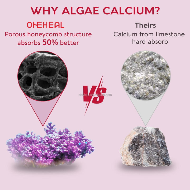 High Quality Sugar-Free Multivitamin Gummies for Women Multivitamins-supplement Health Food Vegan Gummy