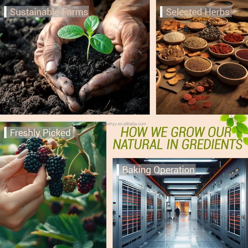 Customized Various Herbal Health Five Treasures Kidney Cleanse OEM Tea Healthy Preserving Tea