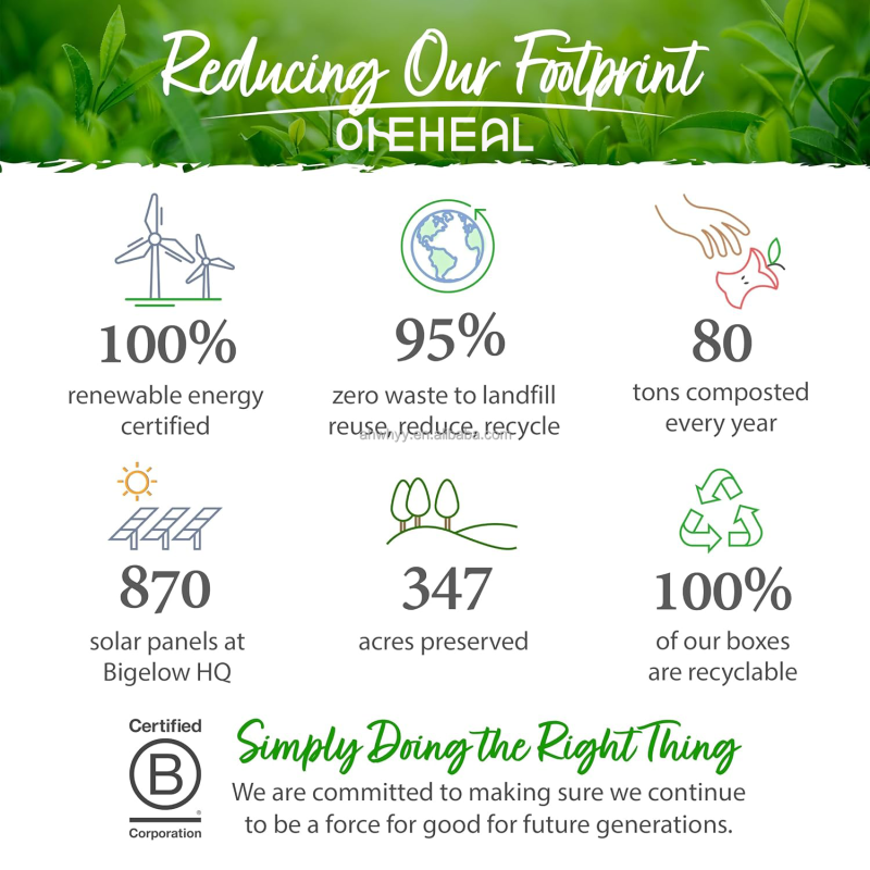 Chamomile 100% Natural Herbal Tea Bulk Chamomile Winston Natural Organic Herbs Tea