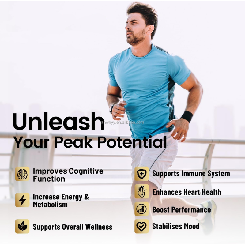 Pure Himalayan Shilajit Resin High Potency Energy Supplements Organic Ashwagandha Supplement for Adult Immune Shilajit Resin