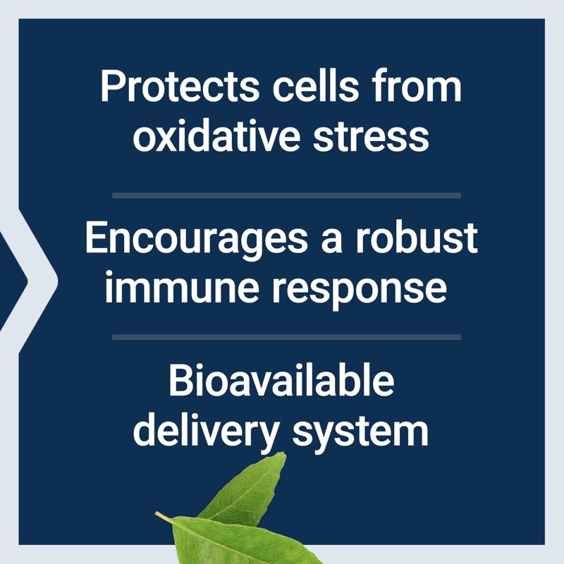 Bio-Quercetin Capsules Gluten-Free Non-GMO Vegetarian Immune Health Supplement Beauty Product Quercetin Capsules