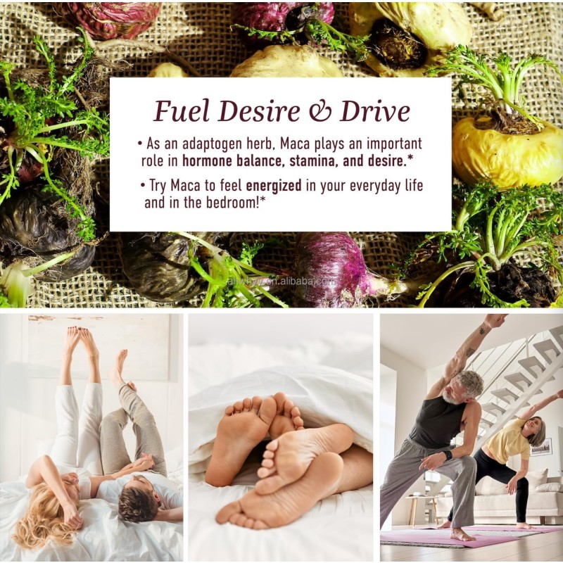 Wholesale Prices Natural Maca Root Gummies Herbal Supplements Maca Gummy Energy Support Hormone Balance Maca Root Gummy