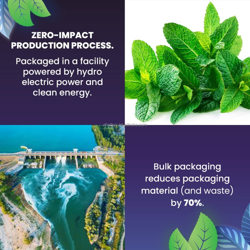 Customized Organic Spearmint Herbal Tea Bags Hormone Balance Herbs Pure Spearmint Leaves Tea