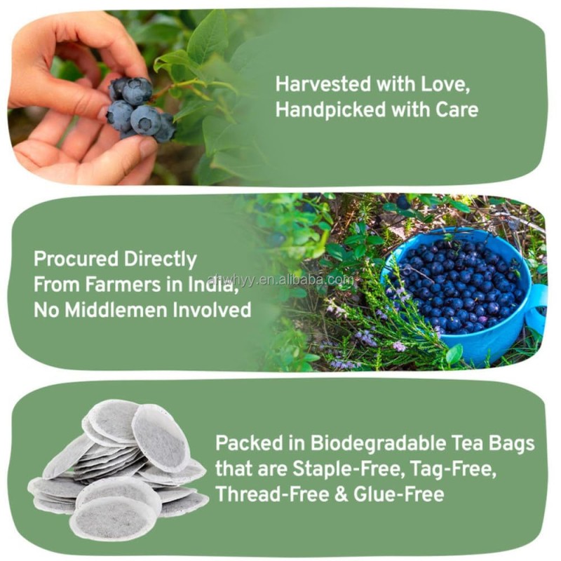 Natural Wild Blueberry Fruit Tea Handpick Wild Blueberry Herbal Tea Bags Premium True Blueberry Fruit Tea