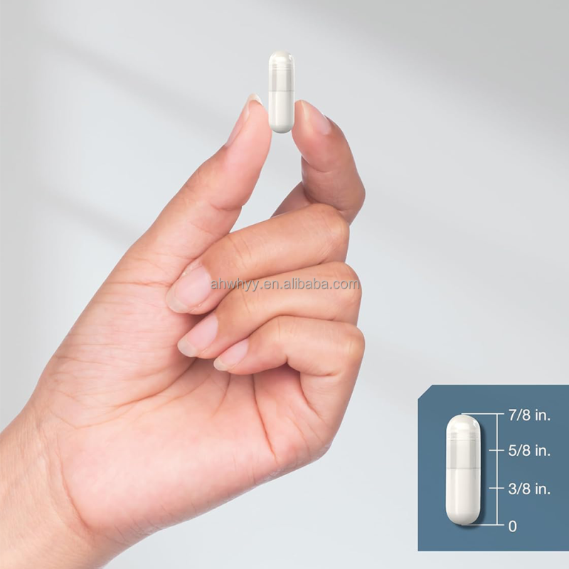 OEM L-Carnosine Capsule Herbal Supplement Private Label Sports Nutrition Energy Boost L-carnitine Capsule