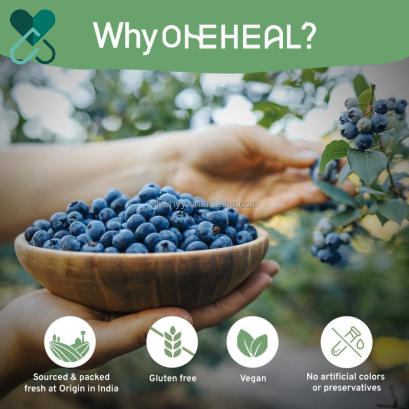 Good Price Fruit Tea Handpick Wild Blueberry Herbal Tea Bags Private Label Premium True Blueberry Fruit Tea