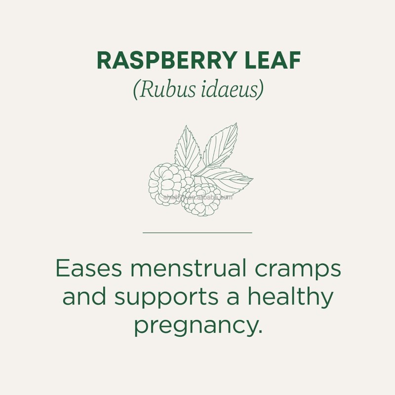 Organic Uterine Health Herbal Tea Raspberry Leaf Herbal Tea Bags Supports Healthy  Natural Herbal Menstrual Tea Bag