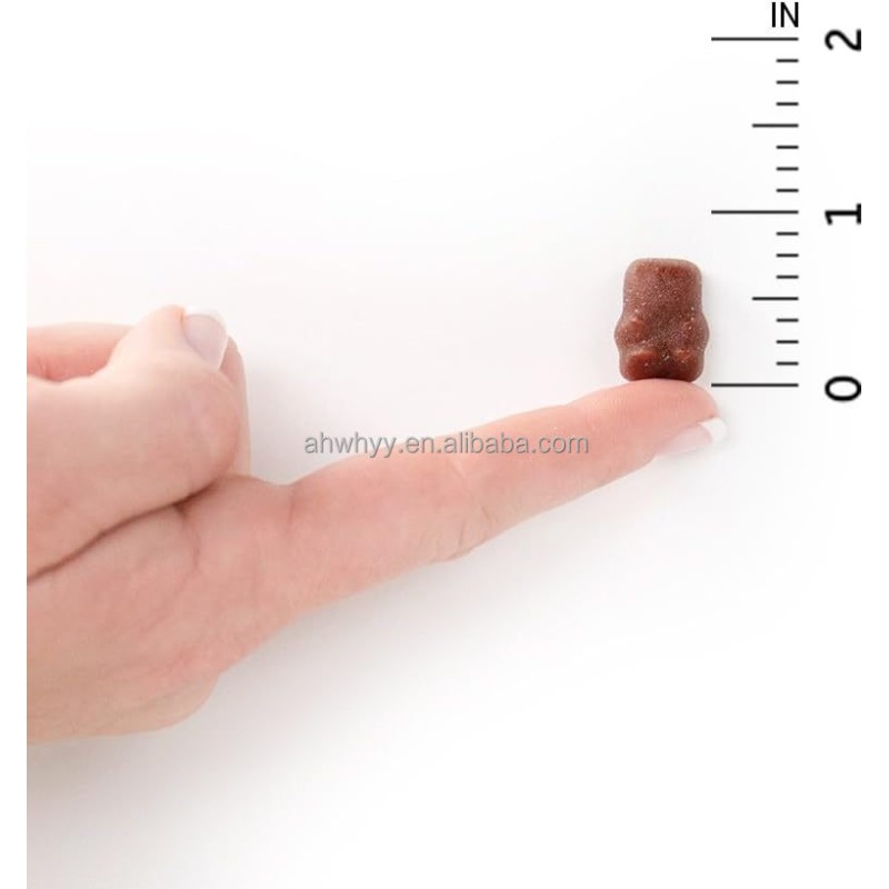 Organics Vitamin Zinc Bear Multivitamin Gummy Ertified Vegan Kids Gummy Vitamins Real Fruit Multivitamin Gummies