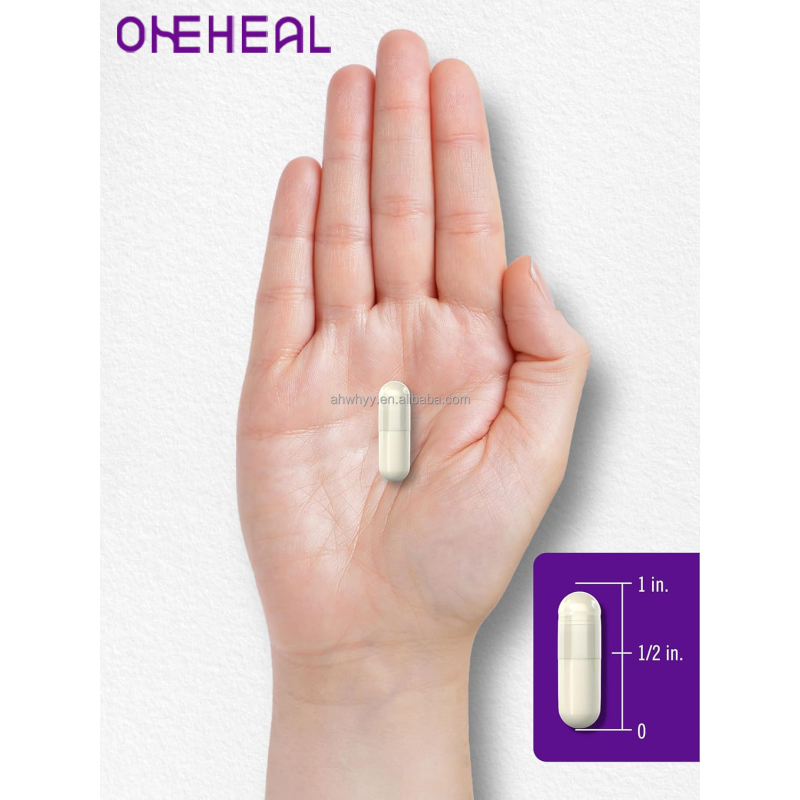 Hot Sale OEM Prebiotics Supplement Capsules Nutritiona Organic Probiotics Capsules