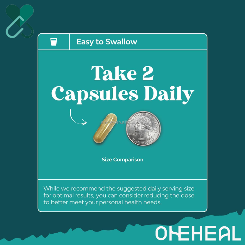 Best Selling Healthcare Herbal Liver Care Capsules  OEM/ODM Private Label Natural Liver Support Supplement Capsules