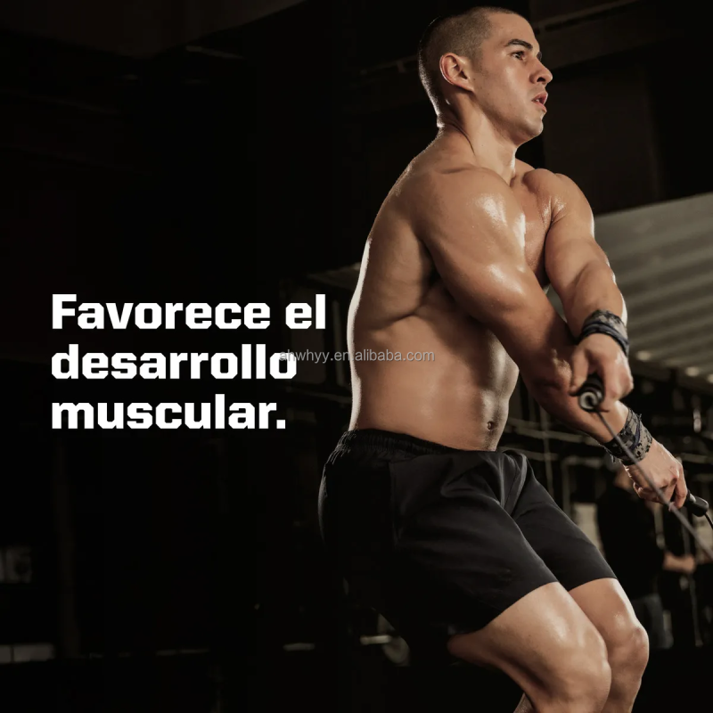 Wholesale Whey Protein Powder Gym Supplements Mass Gainer Bulk Whey Protein Powders