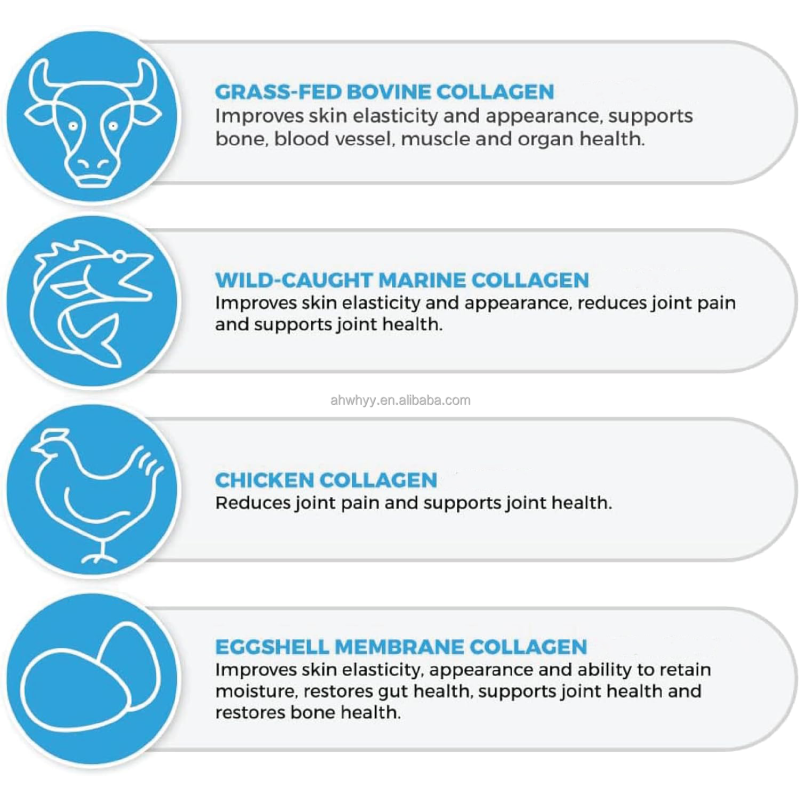 Naturally Derived Hydrolyzed Collagen Powder Multi-Collagen Peptides Powder Hyaluronic Acid Collagen Peptides Powders