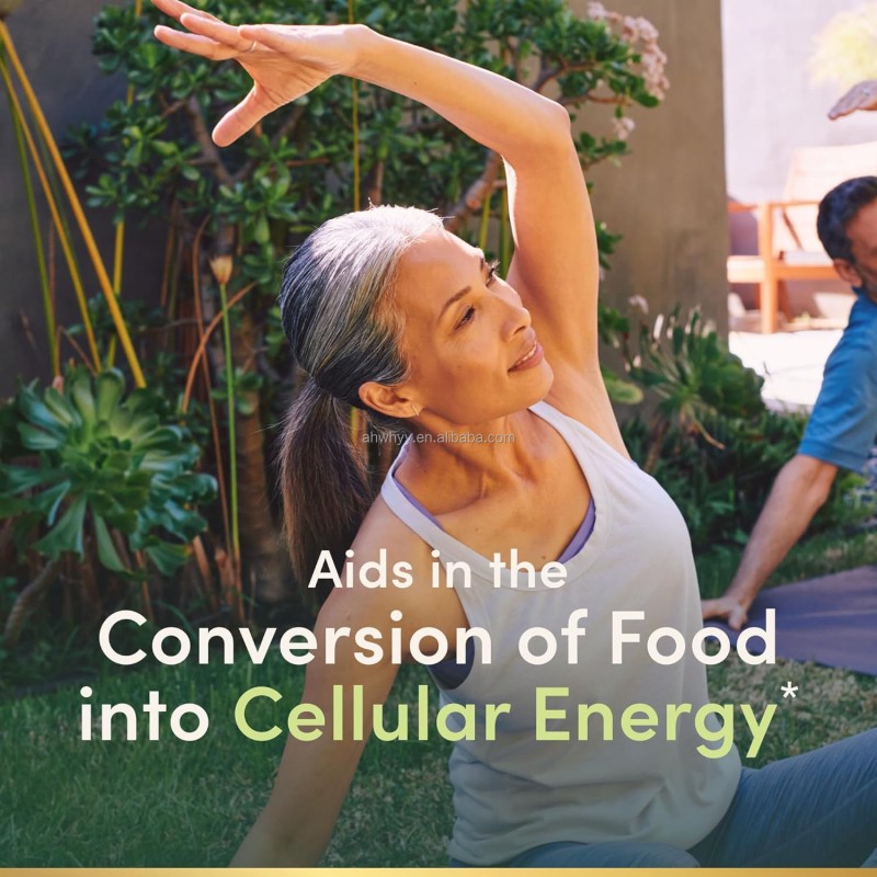 Private Label 1000 Mcg Vitamin B-12 Tablets Supplement Premium Vitamins for Optimal Health Vitamin B12 Tablet