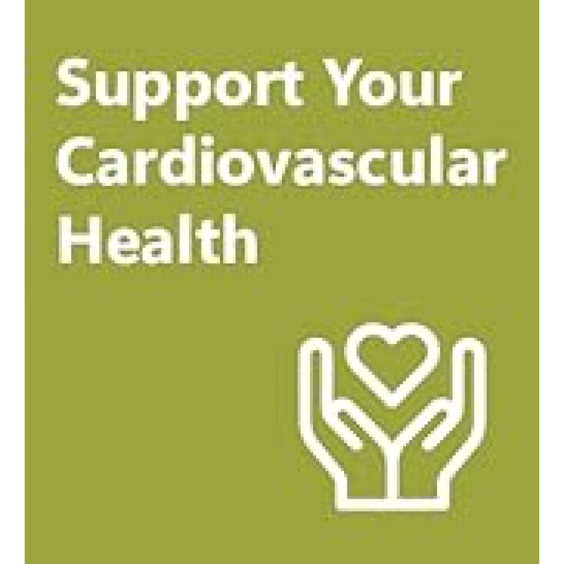 OEM Softgel Eye Protection Supplement Lutein Vitamin Zeaxanthin Herbal Supplements for Eye Care