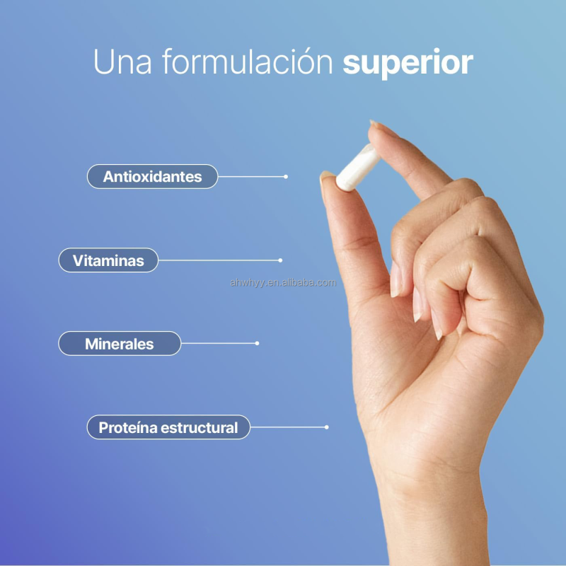 High Absorption Pure Magnesium Citrate Natural Ingredients OEM Mineral Supplement Citrate Magnesium Capsules