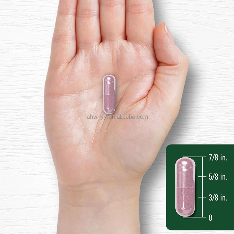 High Potency Tart Cherry Extract Capsules in Fast-absorbing Herbal Supplements Antioxidation Extract Tart Cherry Capsules