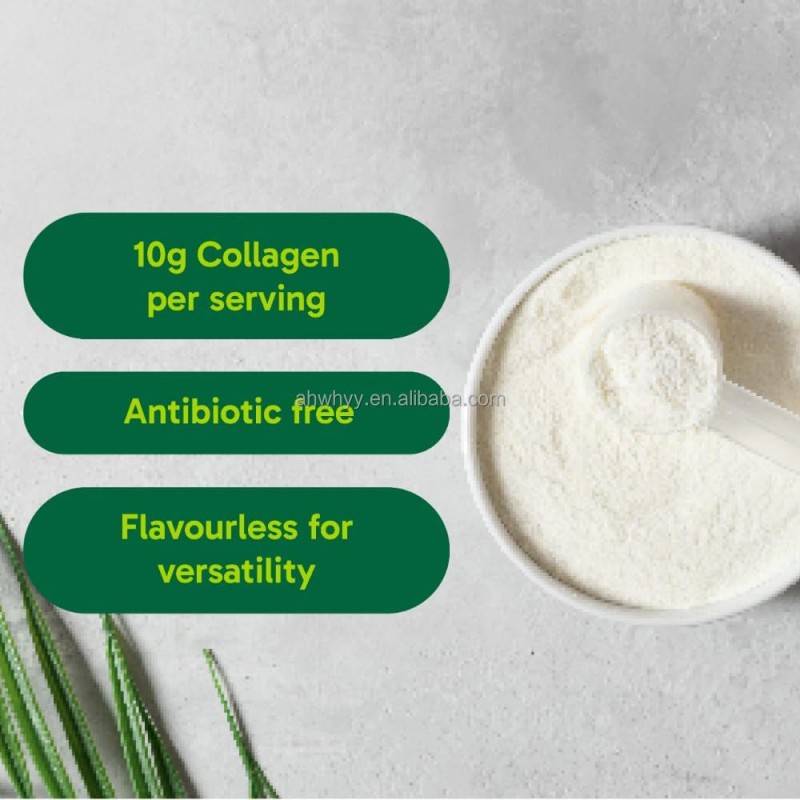 Private Label Collagen Powder Sports Nutrition Hydrolyzed Collagen OEM Protein Powder Multi-Collagen Powders