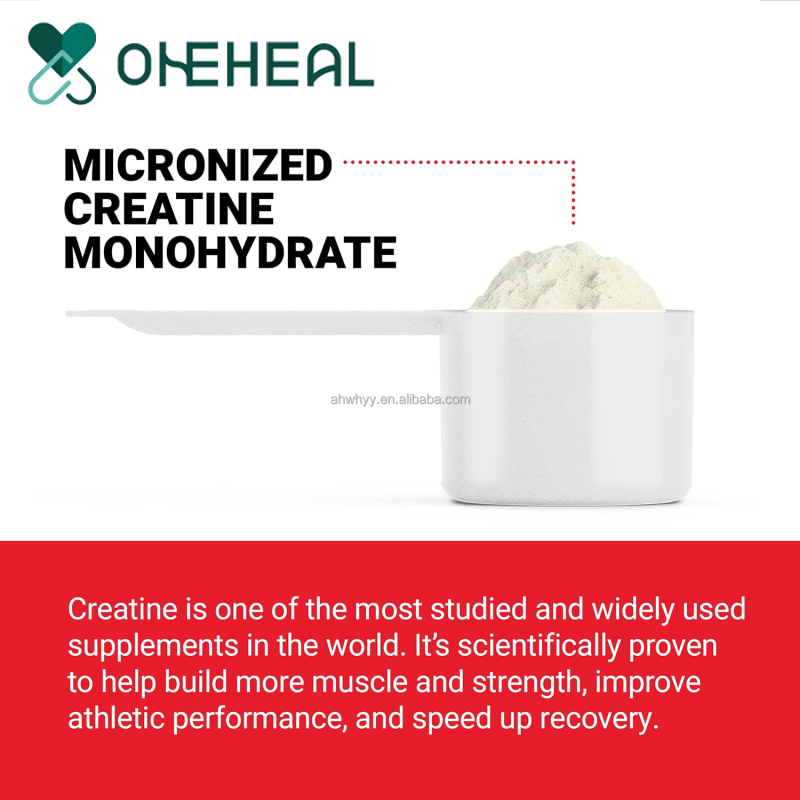 Private Label Original Creatine Protein Powder Creatine Monohydrate Powder Supplier Creatine Powder