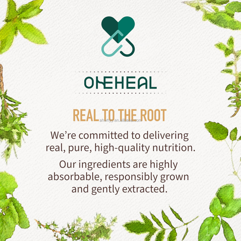 Hot Sale OEM Nutritional Organics Women's Certified Multivitamin Vegan Real Fruit Multivitamin Gummies for Women