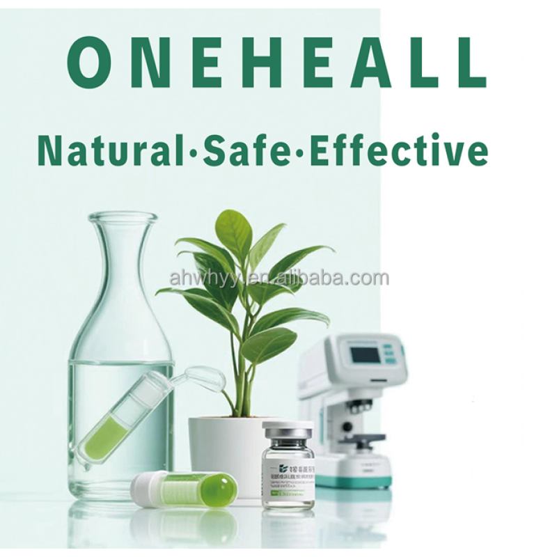 OEM Energy Gel Drink Efficient Release Extra Strength Provide Energy Free Sample Sports Supplement Energy Drink