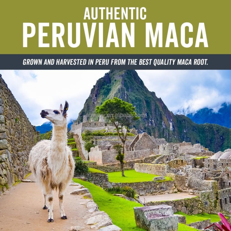 Maca Wholesale for Maca Man Strong Root Naturals Certified Organic Maca Powder