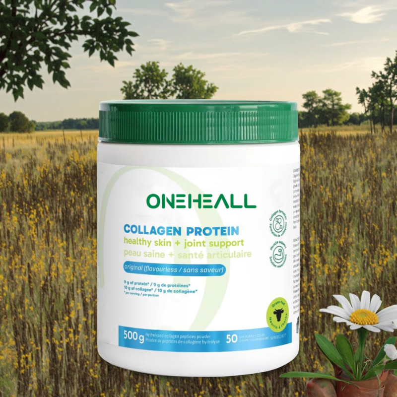 Private Label Collagen Powder Sports Nutrition Hydrolyzed Collagen OEM Protein Powder Multi-Collagen Powders