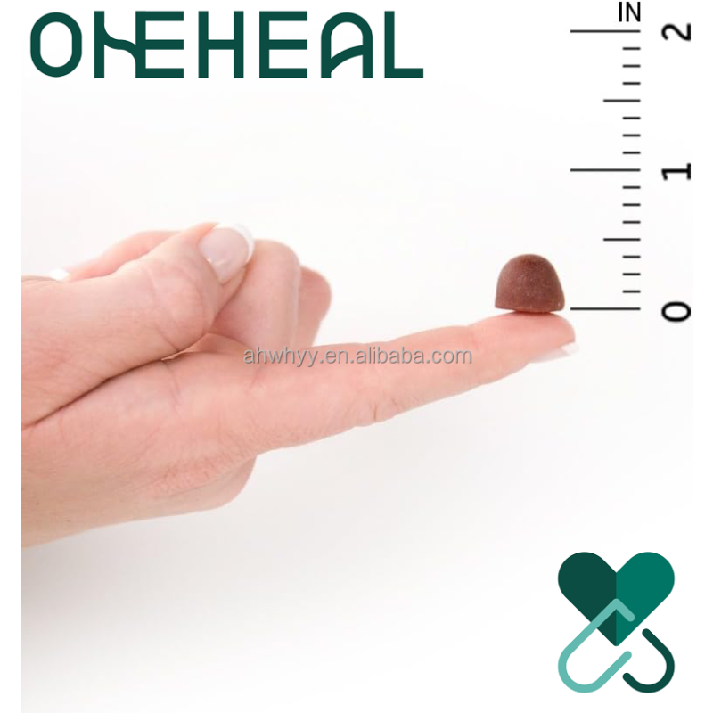 High Quality Collagen Women's Gummy Vitamins New Design Multivitamin Sugar Free Gummies