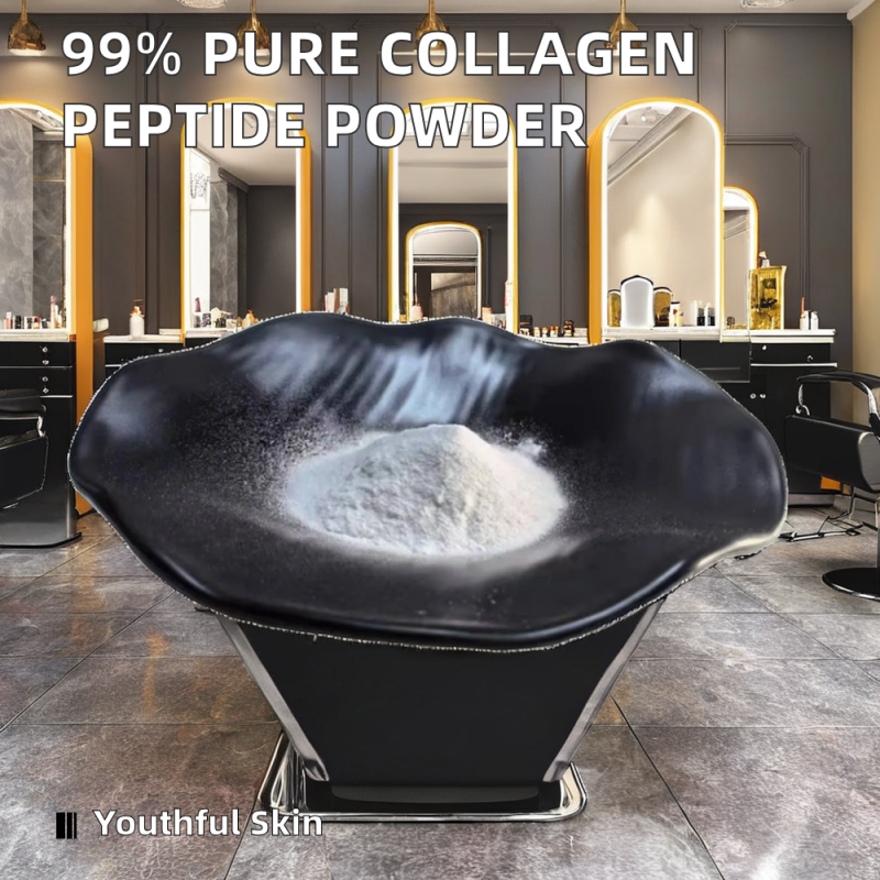 99% Pure Collagen Peptide Bulk Powder Premium Animal Extract Product Collagen Powders