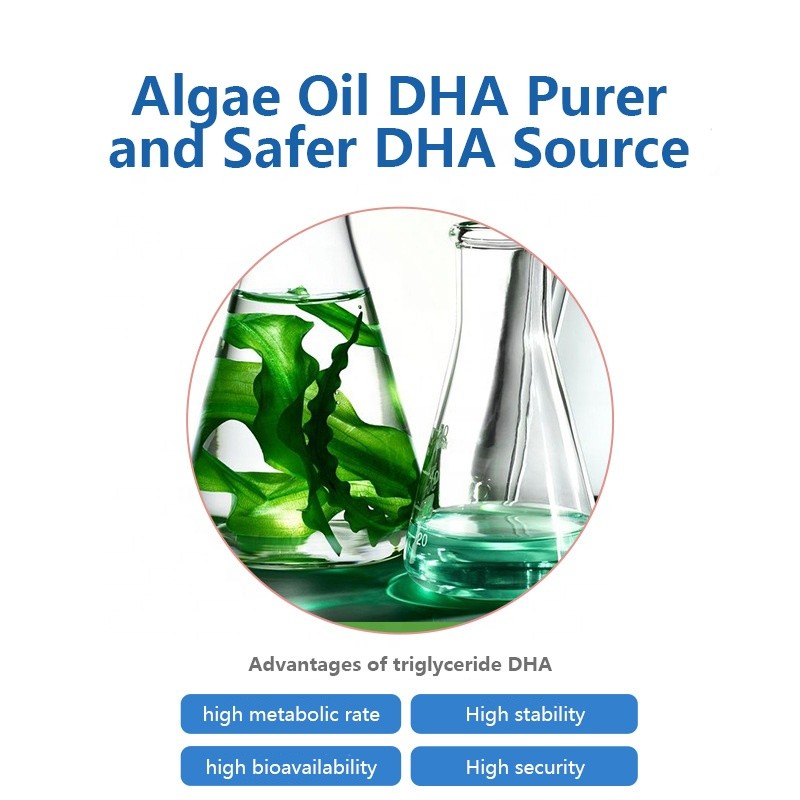 DHA Algal Oil Soft Capsule Factory - Private Brand Wholesale Deep Sea Brain Memory
